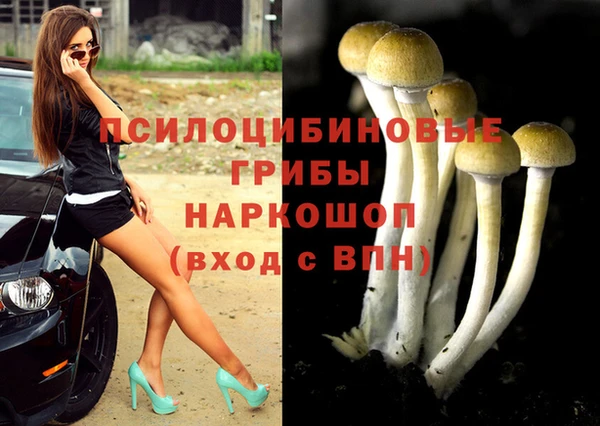 ALPHA-PVP Алексин