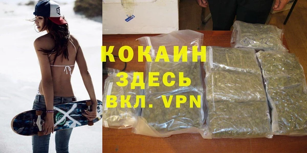 ECSTASY Алзамай