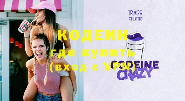 ECSTASY Алзамай