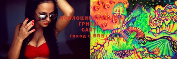 ECSTASY Алзамай