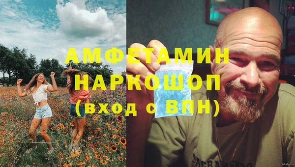 ECSTASY Алзамай