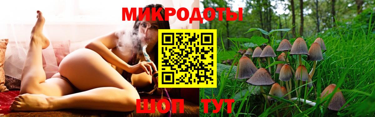 Чебоксары  закладка  Вход с VPN  Псилоцибиновые грибы Magic Shrooms  Псилоцибиновые грибы ЛСД 